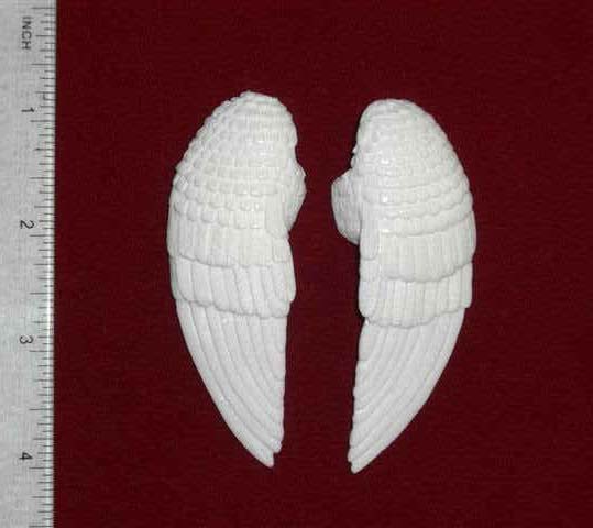 Folded Wings