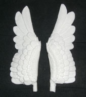 pony wings.